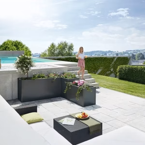 Planting Beds